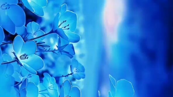 anime favorit kalian ada disini!