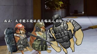 把你当着面打死了护航老板