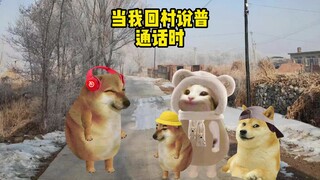 当我回村说普通话时