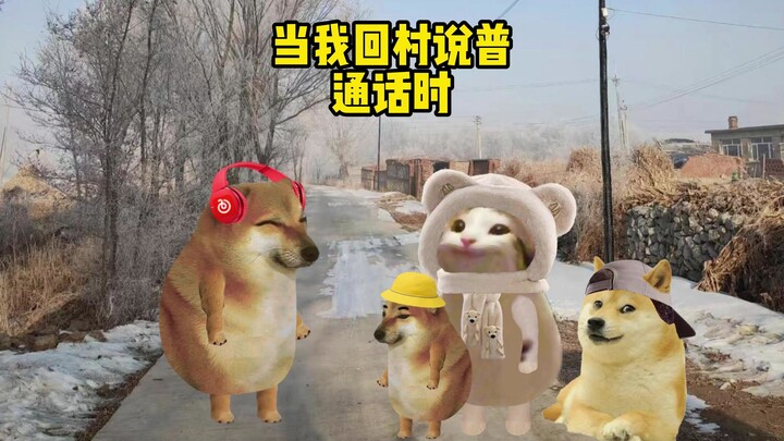 当我回村说普通话时