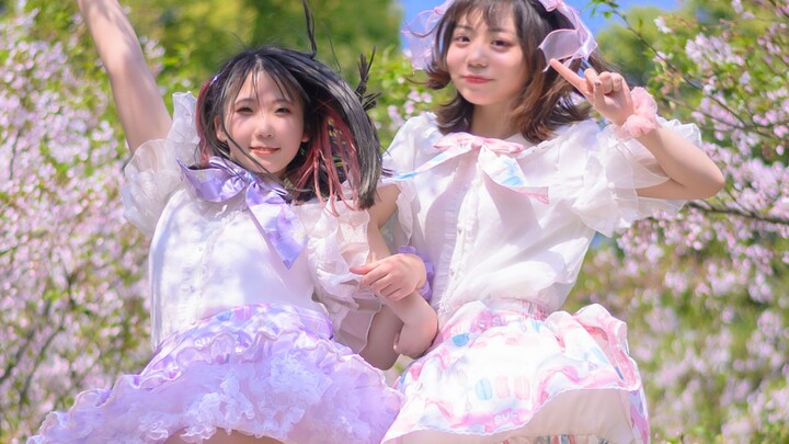 ❤Birthday work❤Stroking and stroking なでなでMake a wish under the cherry tree in the spring sunshine~♫♪