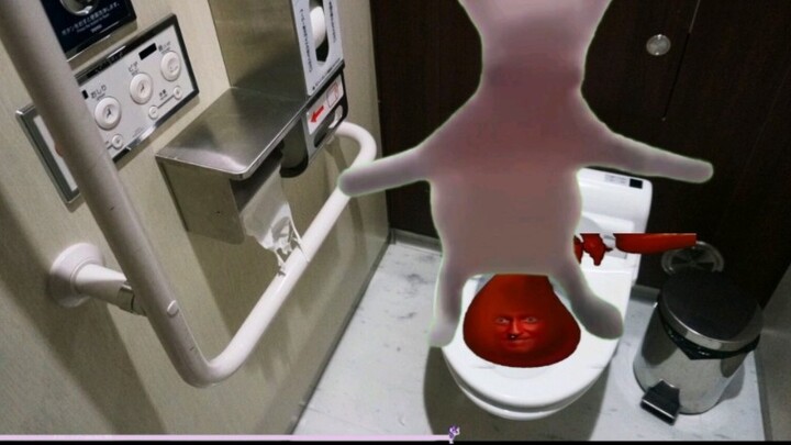 【Cat meme】In Japan, putting a ball in the anus causes hemorrhoids to burst the toilet