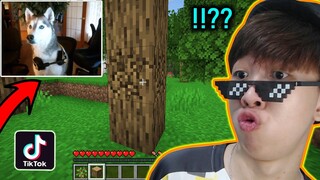 Con Chó Biết Chơi Minecraft 😵 - VINH THỬ NGHIỆM CÁC VIDEO TIKTOK MINECRAFT TRIỆU VIEW (Phần 12)