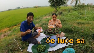 Tư Bắt Ốc Về Luộc Sả Chấm Muối Ớt Siêu Cay