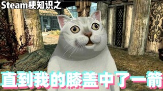 Gaming meme knowledge: Until an arrow hits my knee