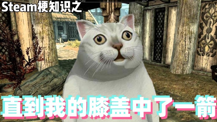 Gaming meme knowledge: Until an arrow hits my knee