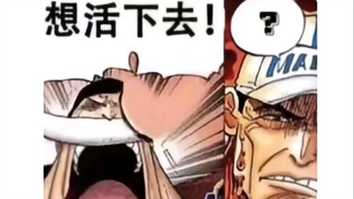 我骂了赤犬好几年，去看了漫画才知道白骂了，漫画赤犬明明是纯爷们 动画搞的什么鬼玩意！赤犬唯一错的地方就是没把逃兵王杀了