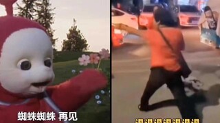 小波遇上了蜘蛛，退退退！