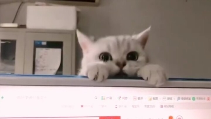 “คุณกำลังทำอะไรอยู่น่ะ!”
