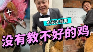 没有教不好的鸡，耐心一点就好