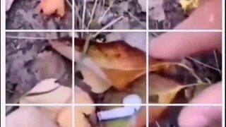 I'm lucky today—I found a pair of Bluetooth earphones.