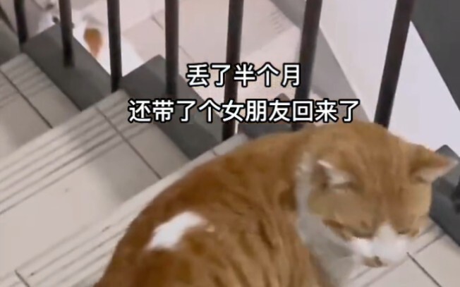 You still know how to go home.