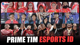 TIM ESPORTS INDONESIA YANG SEMPAT DOMINASI DI KANCAH NATIONAL DAN INTERNATIONAL!