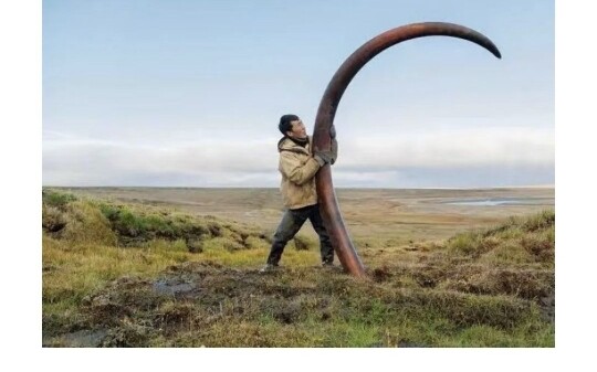 ร่องรอยของสิ่งมีชีวิตยุคก่อนประวัติศาสตร์ที่เคยปรากฏอยู่