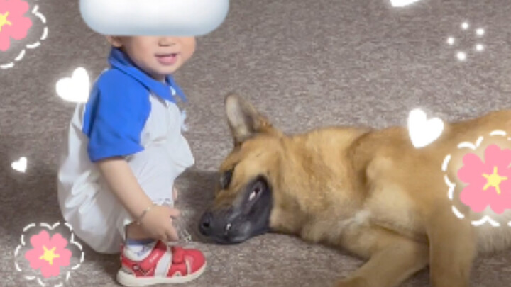 โมเมนต์อบอุ่นใจเมื่อเลี้ยงสุนัข