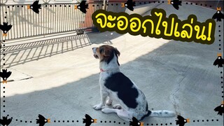 โลกของแสนดี ตอน ปล่อยหนูออกไป!