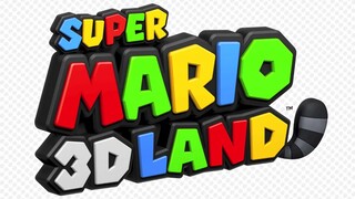 Special World 8 - Super Mario 3D Land