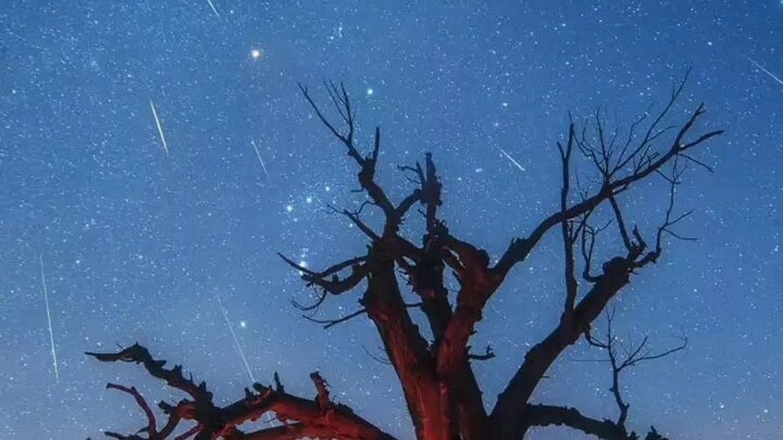 hasil editan gak nyampe 3 menit coba tulis rating kalian dari 1-10 di comen ya!