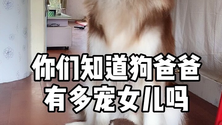 พวกคุณรู้ไหมว่าพ่อหมาตามใจลูกสาวแค่ไหน? #VLOGสัตว์เลี้ยงน่ารัก