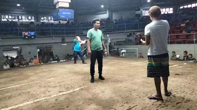 halk fight win napag unahan buti nakagante