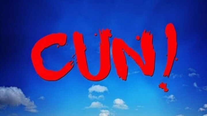 CUN (2011).