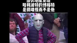 【哈利波特】只有哈迷才能看懂的梗（第二十六弹）
