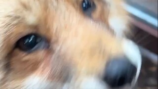 当你的尺子掉在了地上: be like