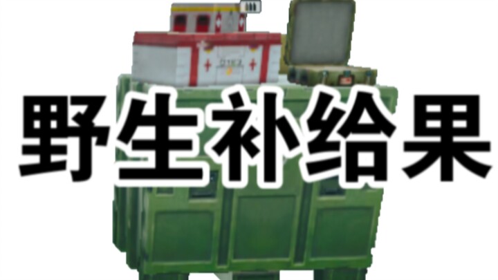 Delta Bio Files (Different Music) — Wild Supply Fruit