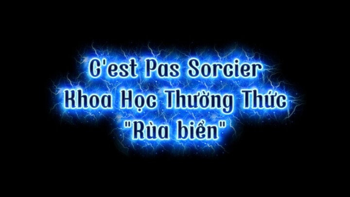 Khoa Học Thường Thức - C'est Pas Sorcier - "Rùa biển"