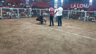 Talisaing nong wla pang pandemic sa laloma,