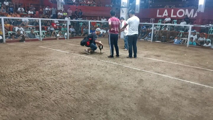 Talisaing nong wla pang pandemic sa laloma,