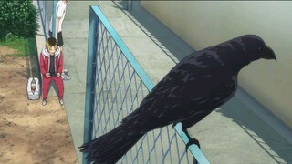 Haikyuu!! movie gumisuteba no kessen 480p.MP4 Sub indo