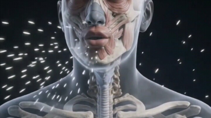 why we can sneeze ?