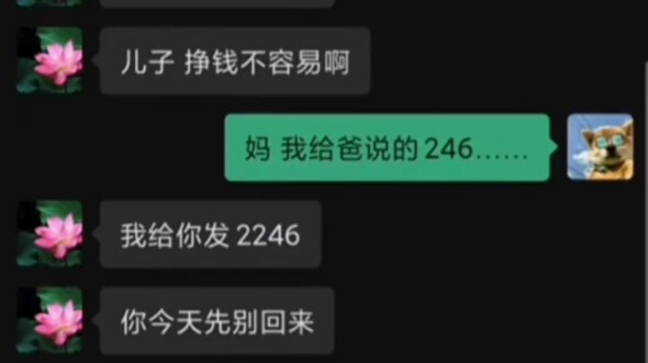 Đừng vội quay về.