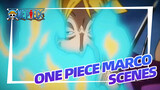 One Piece EP 988 Marco Scenes