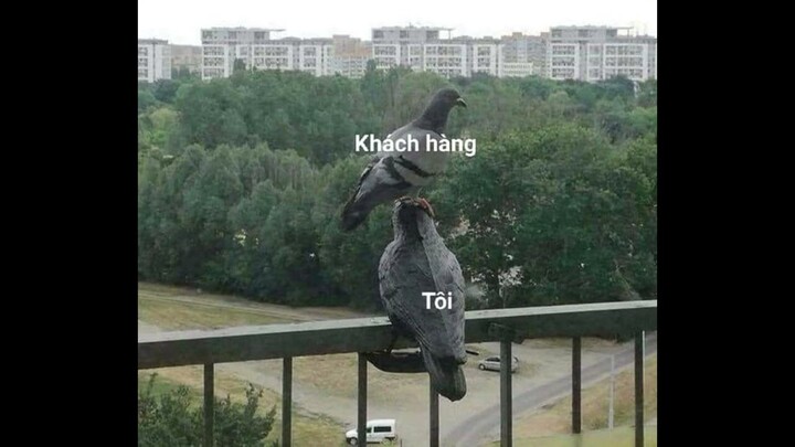 Tổng hợp meme thừa muối cực mặn #23.