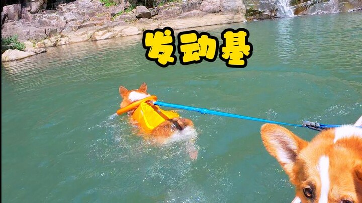帮忙看看 ，我这桨板发动基怎么样？
