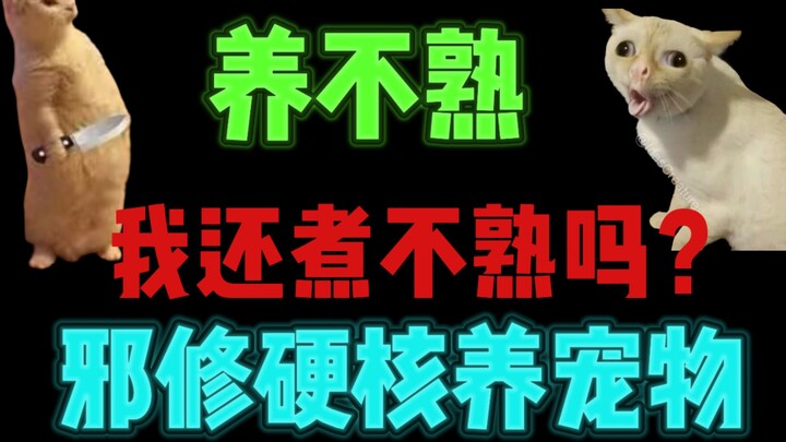 Nuôi không quen? Còn tôi nấu không chín à?