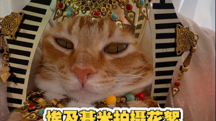 Liputan syuting Hakimi di Mesir, sudut pandang ketiga