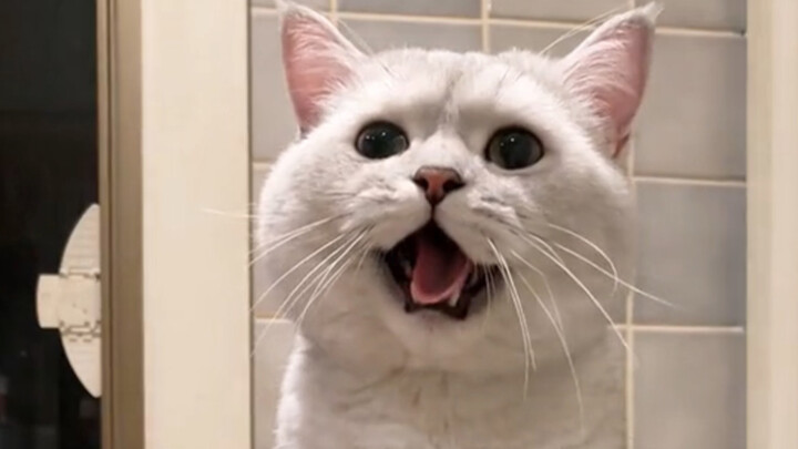 I’m Xiaodudu—look what I found, a ball!