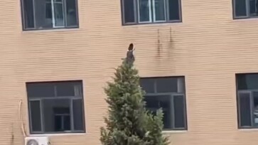 อย่าพูดเลย ดูคล้ายกันจริงๆ