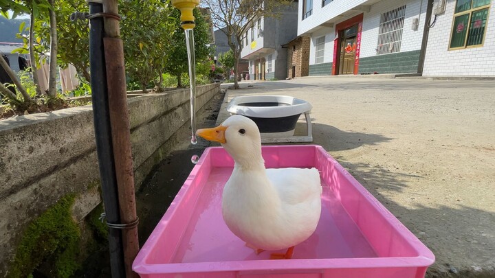 Q-zai: This is my bowl—no one's getting in here!
