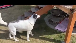 meme Nghịch ngợm hết phần đứa khác