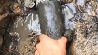 Pesona mekanis yang tak tertahankan~