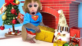 Monkey Baby Bon Bon eats candy with puppies and bathes with ducklings in the swimming pool
