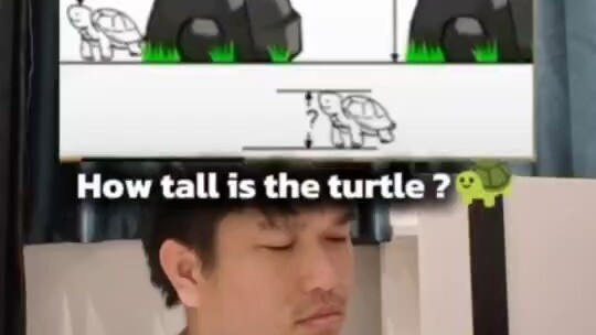HOW TALL IS THE TURTLR?