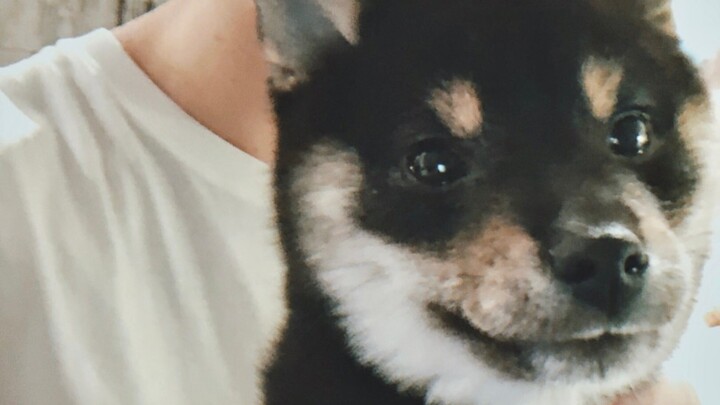 Mã Ca mới có 6 cân so với Mã Ca hiện tại