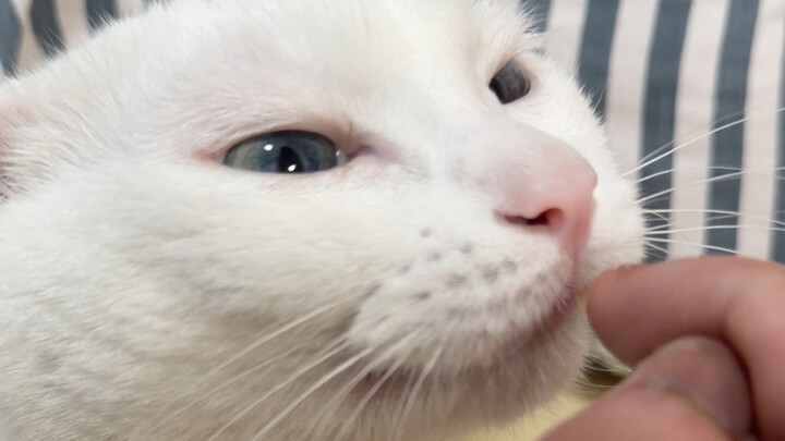 I can't bite it, I'm so mad!