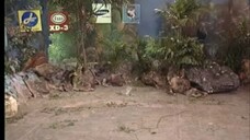 ก่อนบ่ายคลายเครียด Classic ปลาบู่ทอง EP.3 (หาดูยาก)
