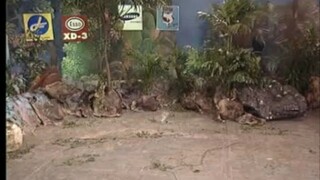 ก่อนบ่ายคลายเครียด Classic ปลาบู่ทอง EP.3 (หาดูยาก)